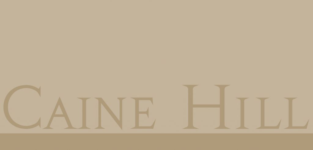 恒基地產旗下的上環CAINE HILL公布首張價單。首張價單涉及50伙，扣除3%付款折扣後，折實售價由542.327萬港元起，呎價由26,572元起。